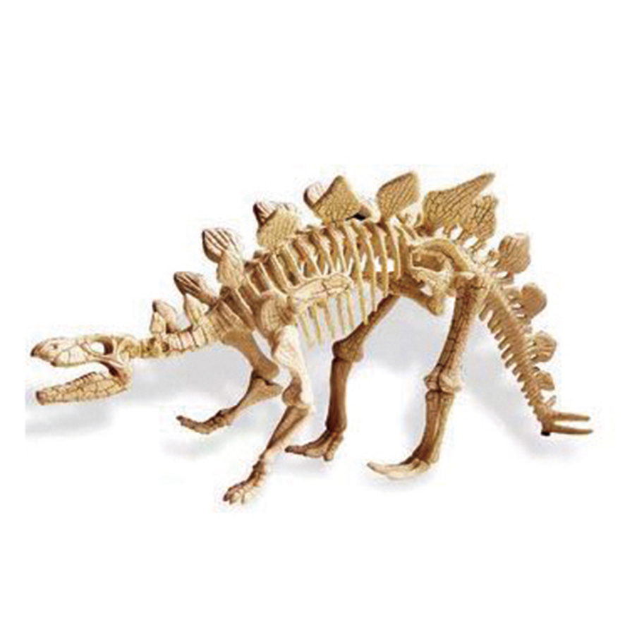 공룡화석 발굴 kit(스테고사우르스)