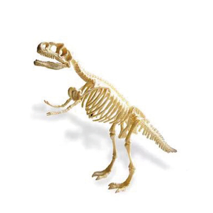 공룡화석 발굴 kit(티라노사우르스)